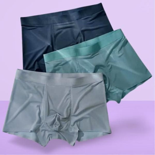 Men's Ice Silk Briefs Boxers (Pack of 2)